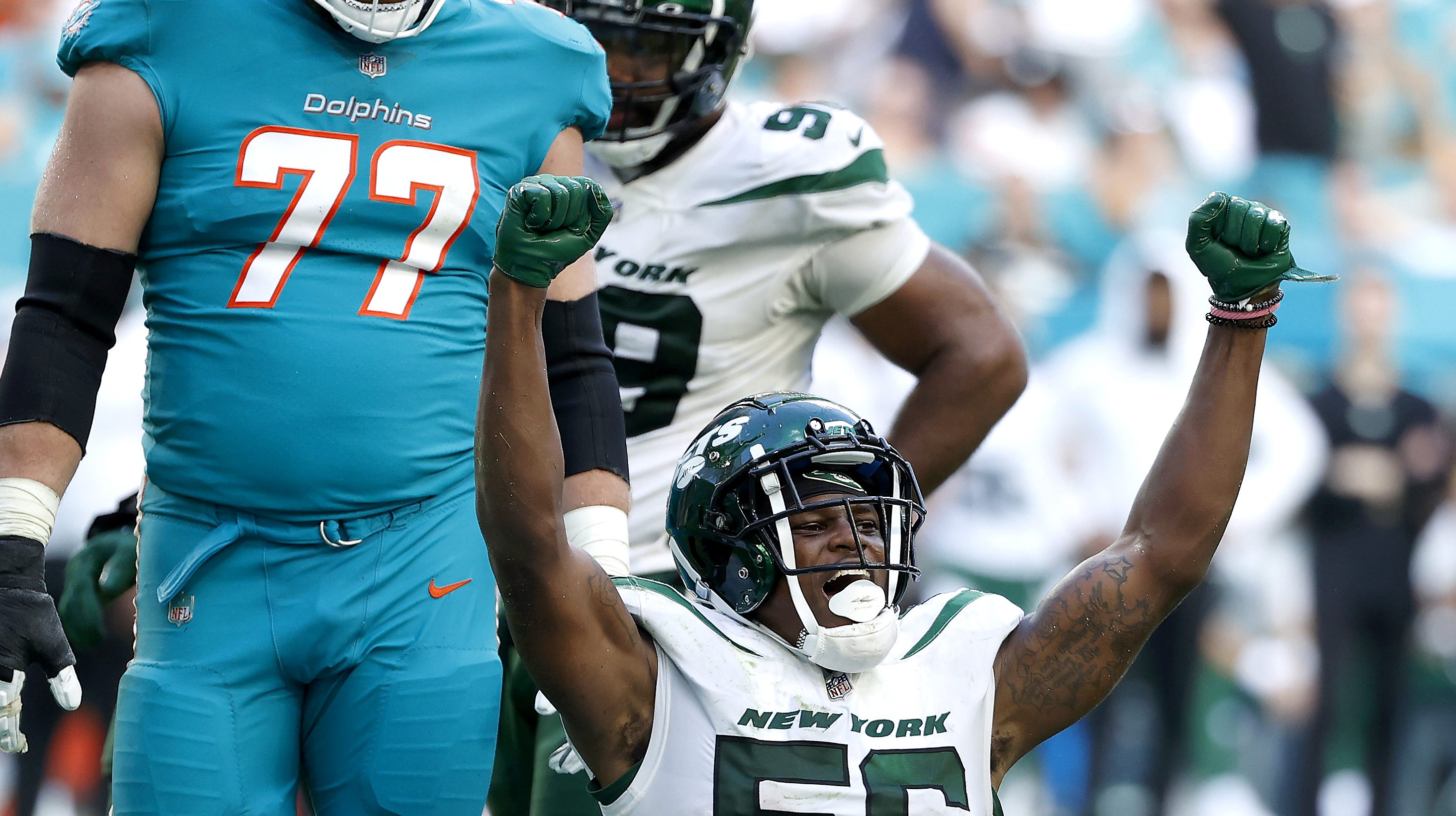 Game Preview: Dolphins - by David Wyatt-Hupton