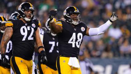 Ex-Steelers Pass Rusher Back on Market After Release From Giants