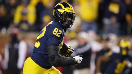Steelers Work Out Ex-USFL Punter, Former Michigan Tight End