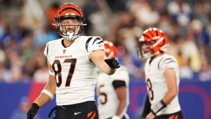 Steelers Bring Back Former CB, Add Ex-Bengals Tight End: Reports