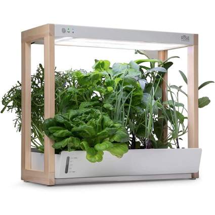 Indoor hydroponic garden with herbs