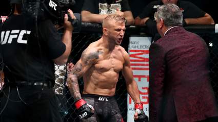TJ Dillashaw Accused of Taking Performance-Enhancing Drugs Ahead of UFC 280