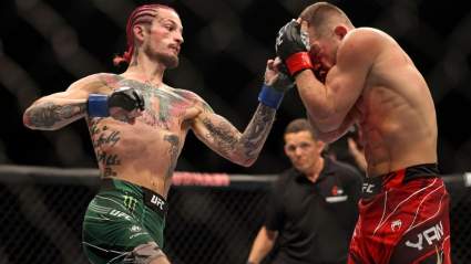 Aljamain Sterling Breaks Silence on UFC Foe Petr Yan’s Loss to Sean O’Malley