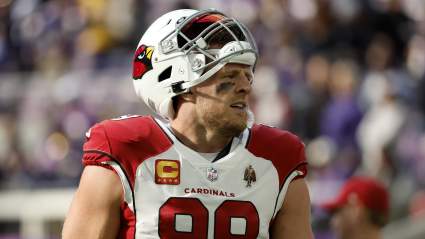 J.J. Watt Calls Out to Vikings Fans After Jared Allen Celebration