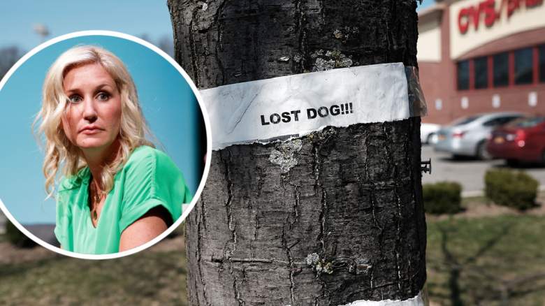 Jenny Marrs, lost dog sign
