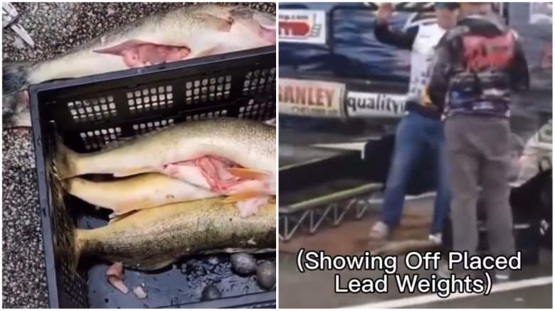 WATCH: Walleye Lead Cheating Scandal Video Goes Viral