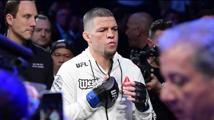 Nate Diaz vs. Jake Paul Boxing Match Just Took a Major Step Toward Reality