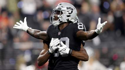 Ex-Raiders WR Compared to Terrell Owens Gets Cut by New Team
