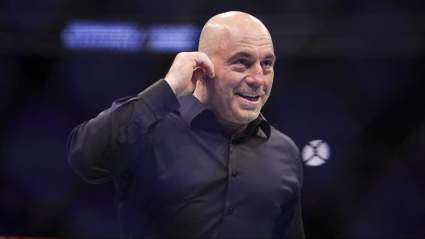Joe Rogan Shares His Dream UFC Fight