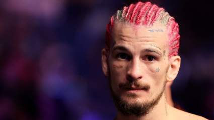 Sean O’Malley Shares Message for Paddy Pimblett After UFC 282
