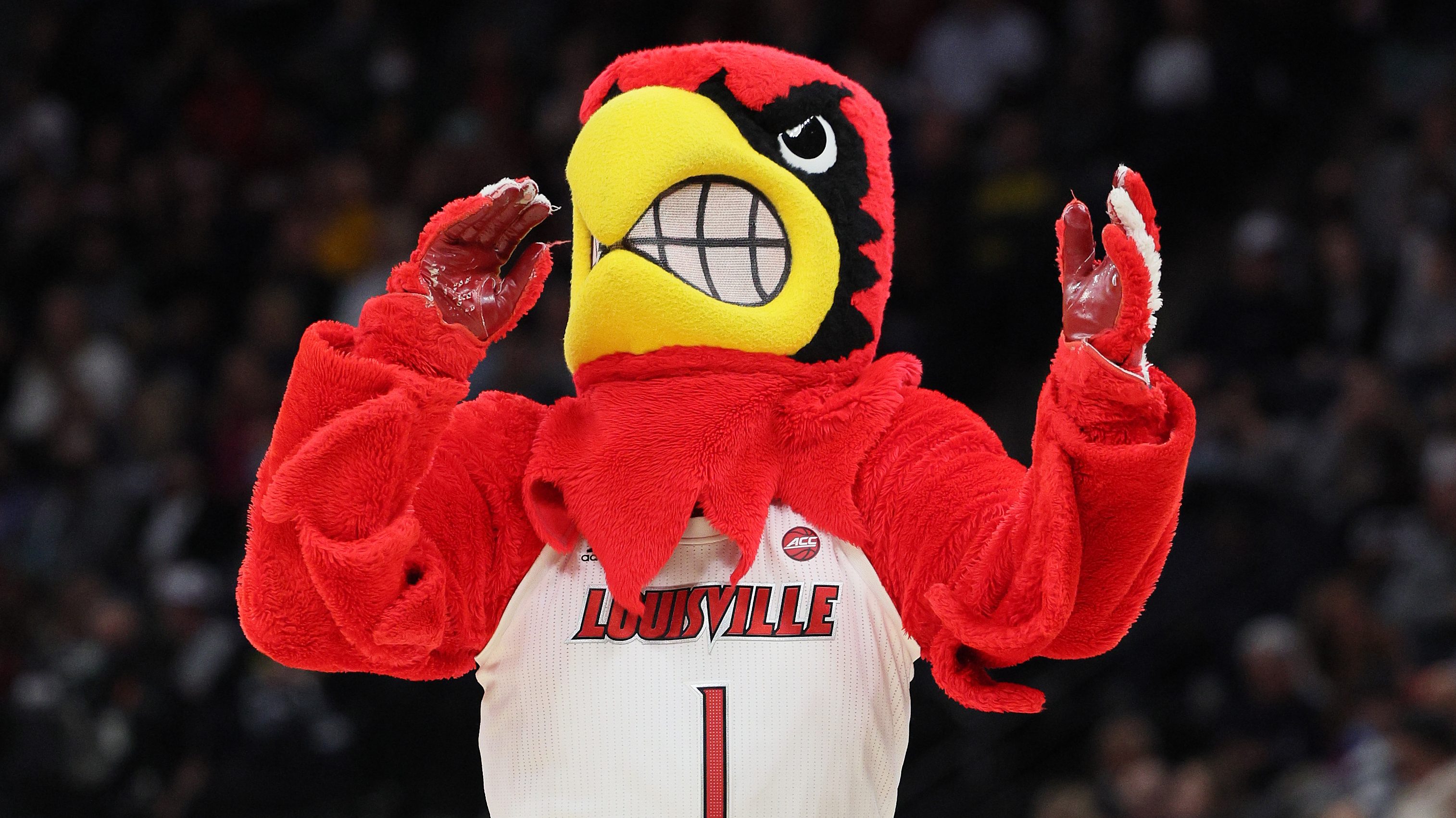 How to Watch Louisville vs Pittsburgh Volleyball Online