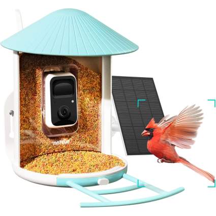 smart bird feeder with camera