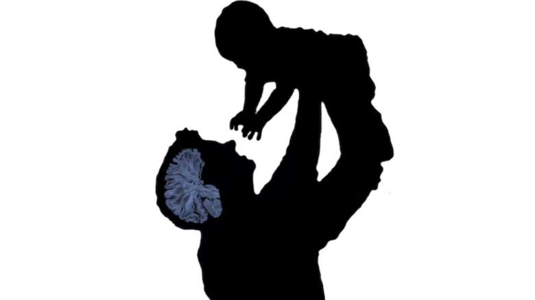 fatherhood changes mens brains