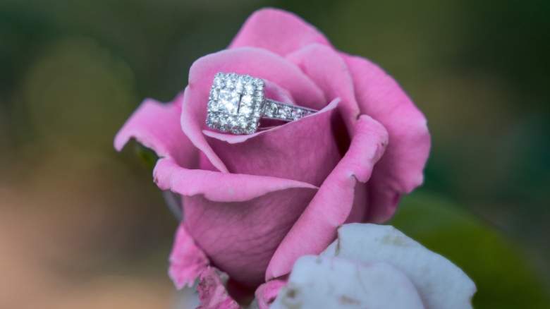 Engagement ring on pink rose