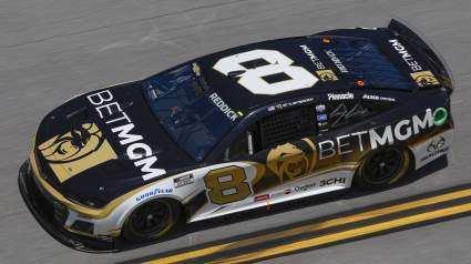 Richard Childress Racing Reveals New Scheme for Kyle Busch