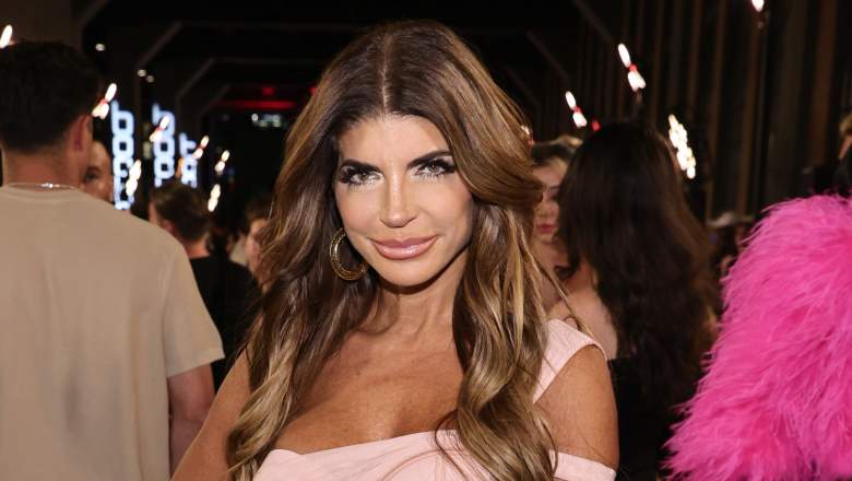 RHONJ Alum Criticizes Teresa Giudice