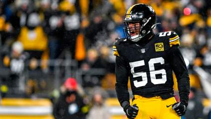 Steelers Slammed for ‘Disgraceful’ Sack Celebration