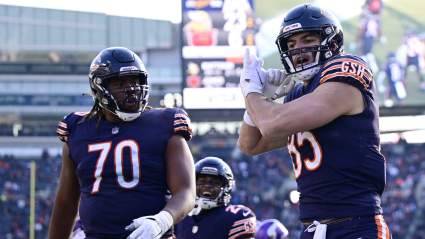 Bears Win Big With Loss to Vikings in Final Game of Season