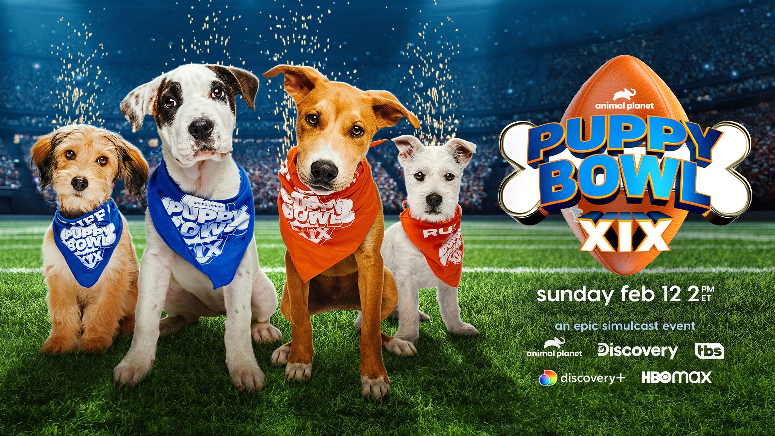 How to watch and stream Puppy Bowl Presents: The Dog Games - 2021 on Roku