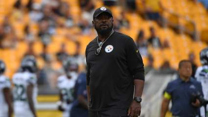 Steelers Urged to Sign Former NFL Rushing Champion