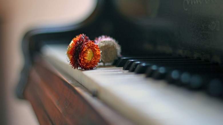 flower and piano