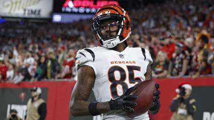 ‘Bold’ Bills Trade Proposal Sends WR Tee Higgins to Buffalo