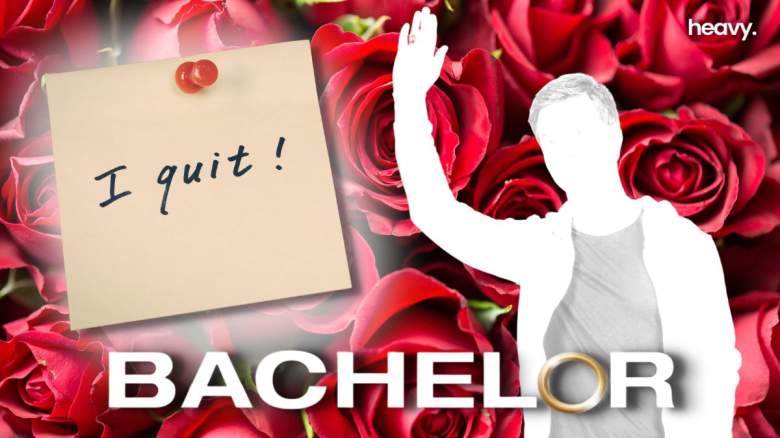 The Bachelor figure quits