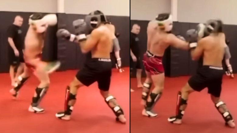 Conor McGregor's new TUF 31 sparring footage