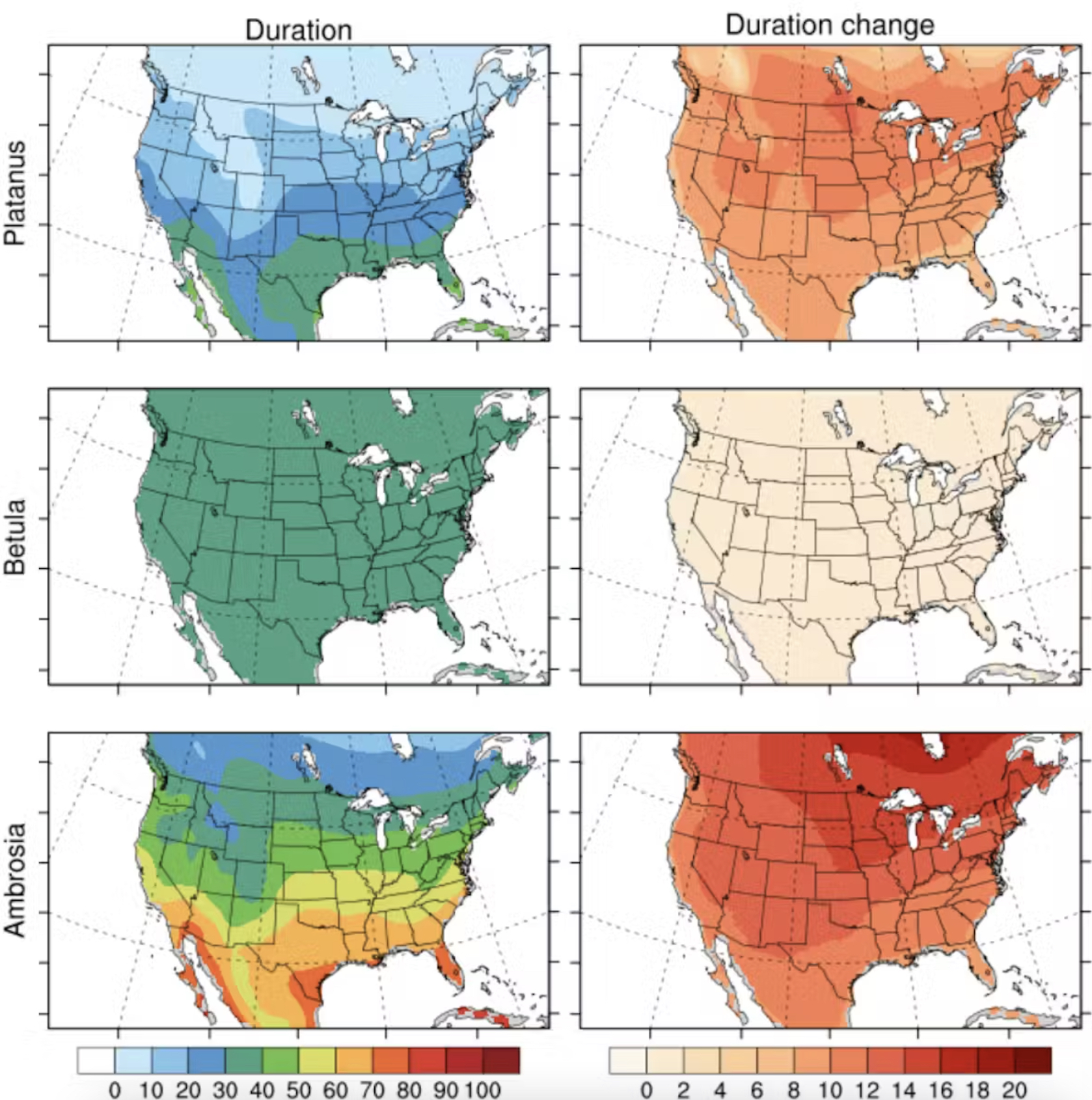 How Better Pollen Forecasts Could Help With Allergy Season