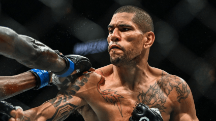 Alex Pereira in High Demand: 205 Lbs KO Artists Call out Ex-Champ