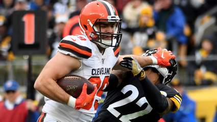 Bears Sign Ex-Browns Veteran TE After Minicamp Tryout: Report