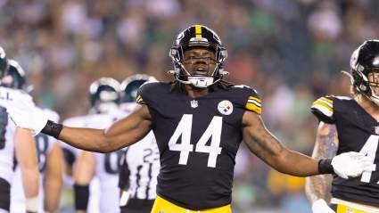 Details Surface on Why Steelers Surprisingly Released LB Jamir Jones
