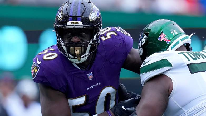 Maulet Bears Interest2