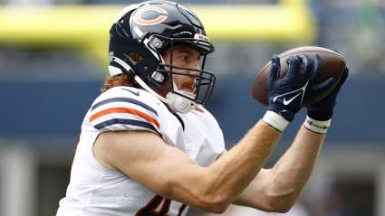Bears Waive TE With Injury Designation to Add Marcedes Lewis