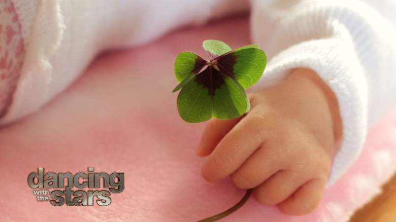 A baby holding a 4-leaf clover.