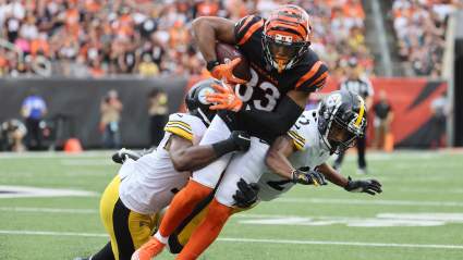 Bengals WR Tyler Boyd Throws Shade at Steelers Ahead of Week 16