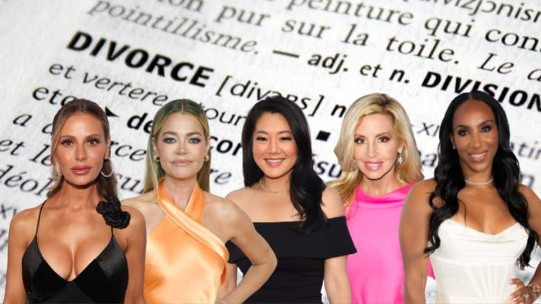 Dorit Kemsley, Denise Richards, Crystal Kung Minkoff, Camille Grammer, and Annmarie Wiley.