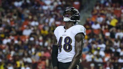 Steelers Claim Ravens Linebacker Off Waivers: Report