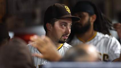 Blake Snell Predicted to Join Yankees Should They ‘Sweeten Their Offer’