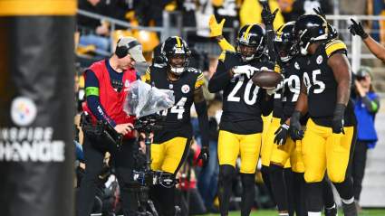 Steelers Veteran Wants to Return for 14th NFL Season