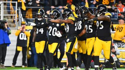 Steelers Veteran Defensive Starter Named 2024 Cut Candidate