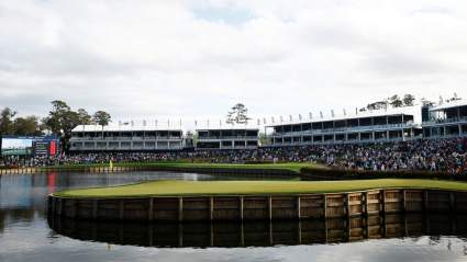 The Players Championship: Every Hole-in-1 on the 17th Hole at TPC Sawgrass