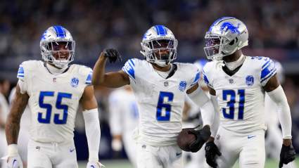 Lions Urged to Bring Home Recently Released $39 Million Safety 