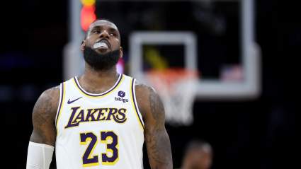 LeBron James Reacts to Refs Overruling His Crucial 3-Pointer in Lakers Loss