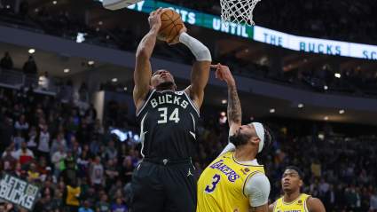 Giannis Antetokounmpo Calls Out Officiating After Close Loss to Lakers