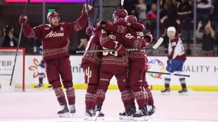 NHL Breaks Silence on Coyotes Relocation as NBA Owner Closes In