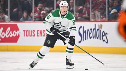 NHL Daily Fantasy: AI-Powered Value Picks for April 17