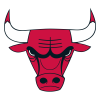 Bulls's logo