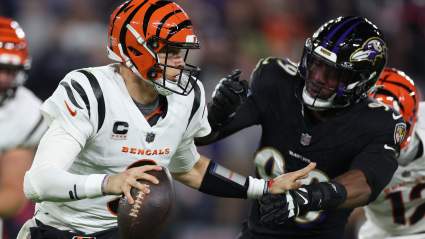 Bengals QB Joe Burrow Returns to Field for 1st Time in 6 Months [LOOK]