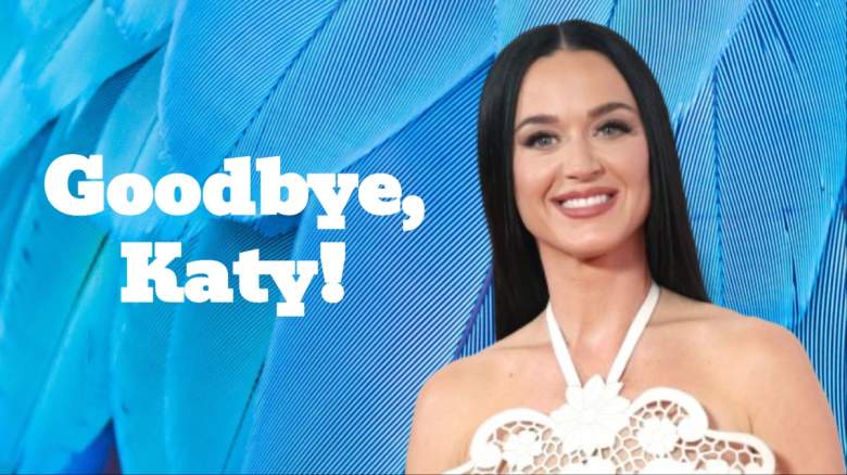 Katy Perry's Plans for Final 'American Idol' Episode Revealed